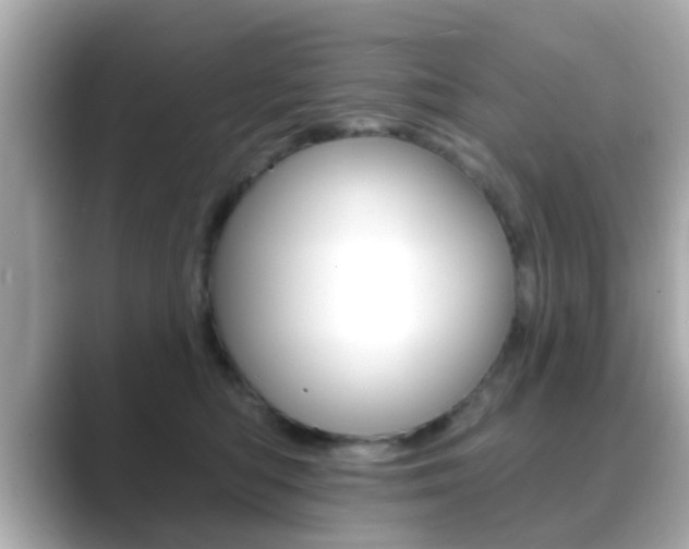 X0000089680422200706210818