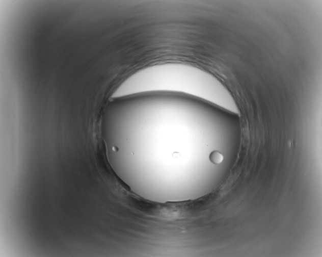 X0000089680423200706210818