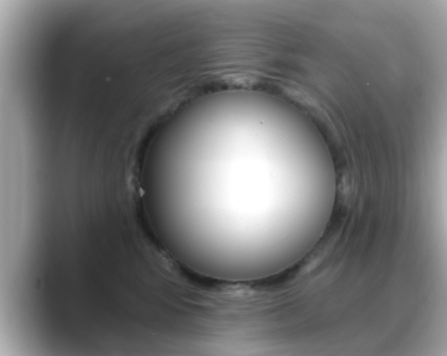 X0000089680424200706210818