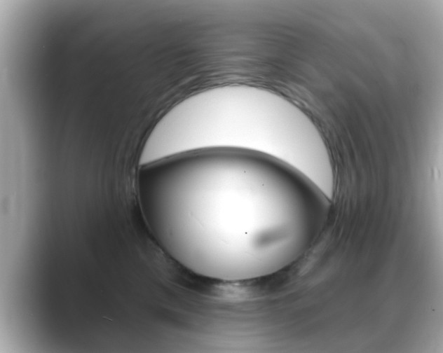 X0000089680425200706210818
