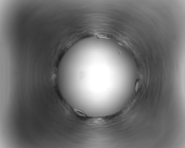 X0000089680427200706210818