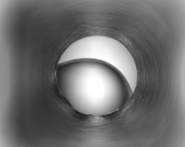X0000089680429200706210818