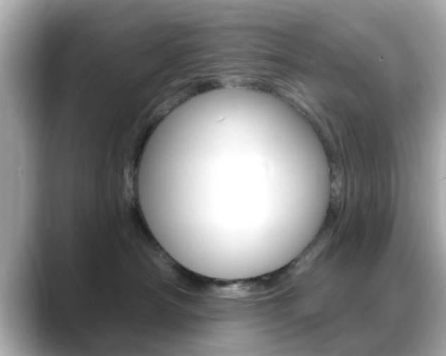 X0000089680430200706210818