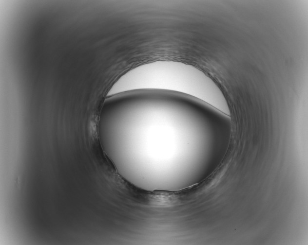 X0000089680432200706210818
