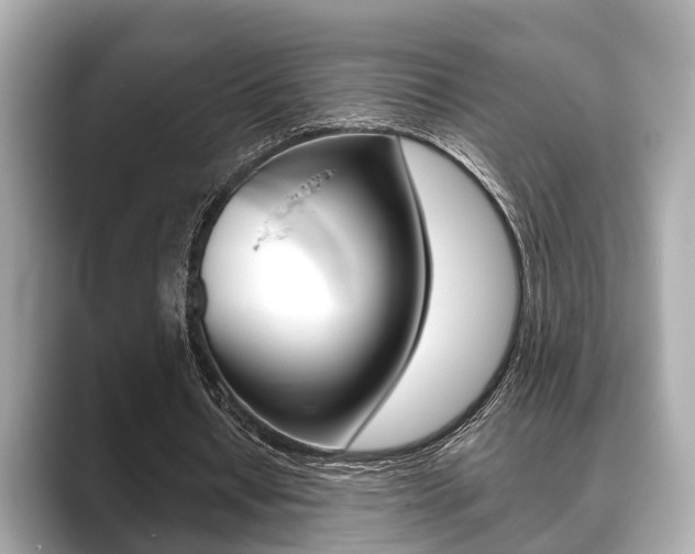 X0000089680434200706210817