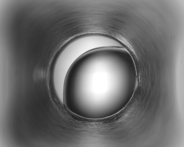 X0000089680436200706210817