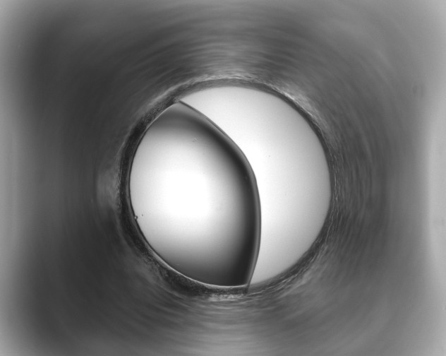 X0000089680440200706210817