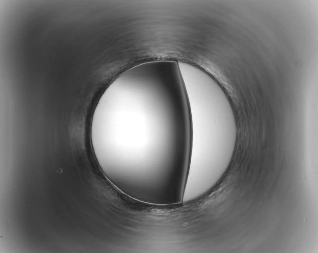 X0000089680442200706210817