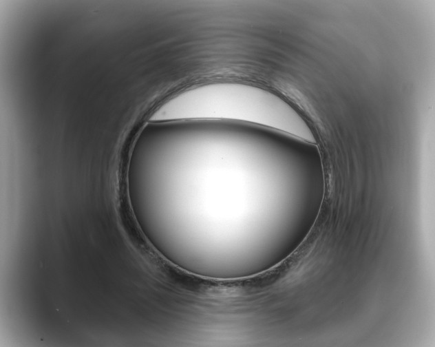 X0000089680444200706210817