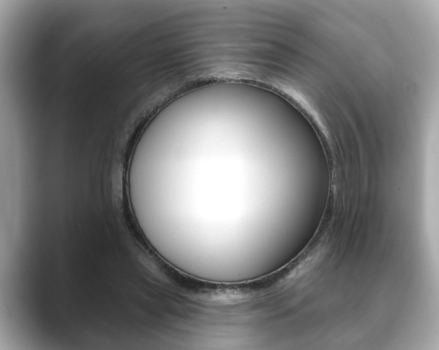 X0000089680445200706210817