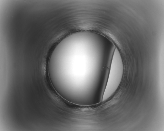 X0000089680446200706210817