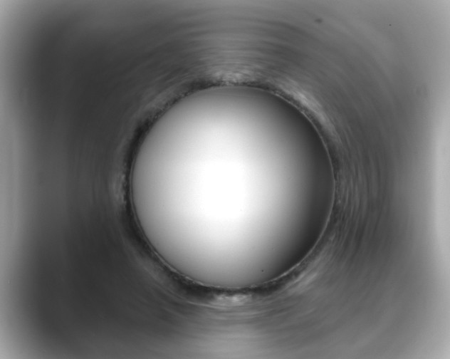 X0000089680450200706210817