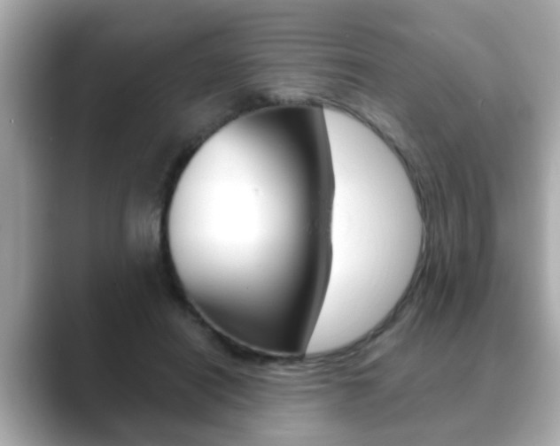 X0000089680454200706210817