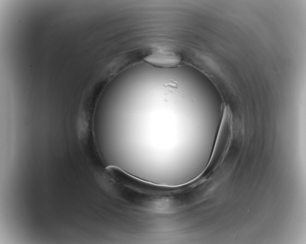 X0000089680456200706210817