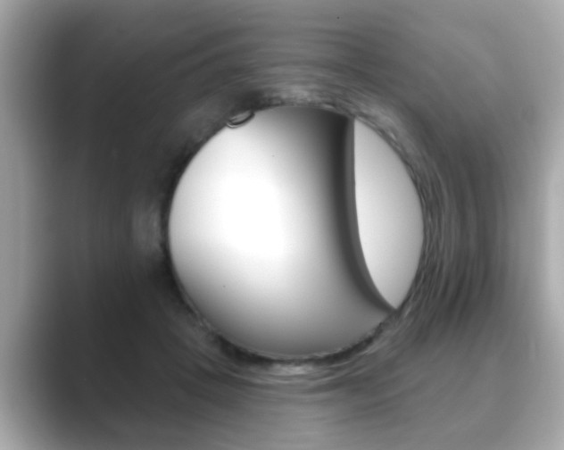 X0000089680457200706210817
