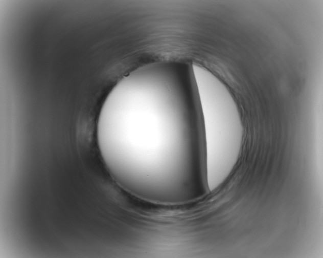 X0000089680458200706210817