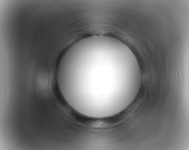 X0000089680460200706210817