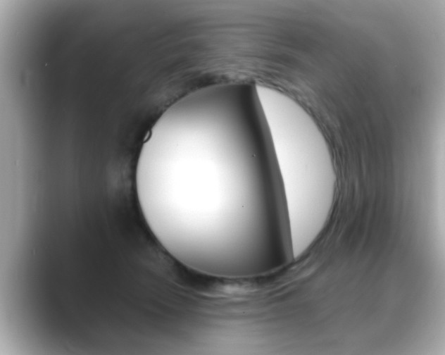 X0000089680466200706210817