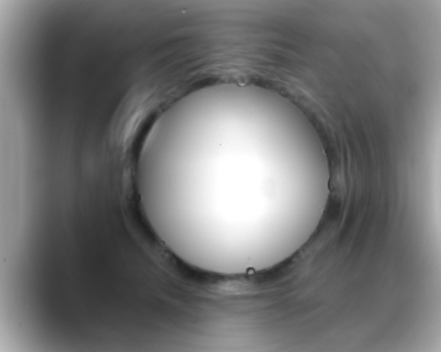 X0000089680468200706210817