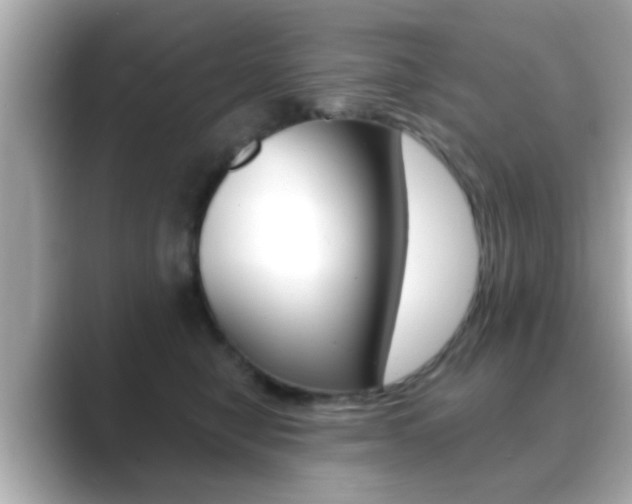 X0000089680470200706210817