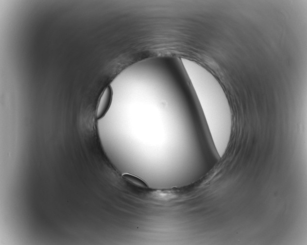 X0000089680477200706210818