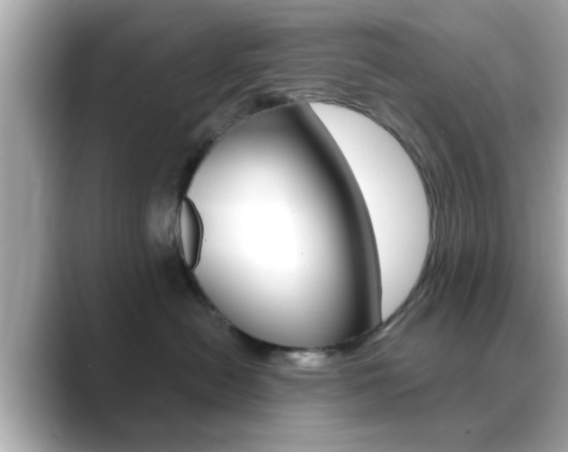 X0000089680478200706210818