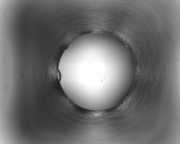 X0000089680479200706210818