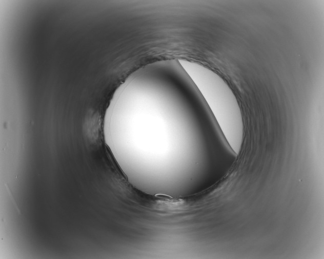 X0000089680480200706210818