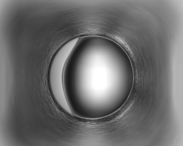 X0000089680481200706210817