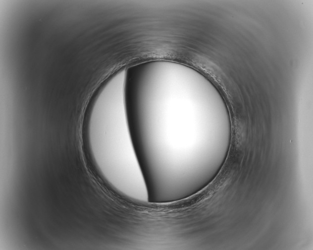 X0000089680482200706210817