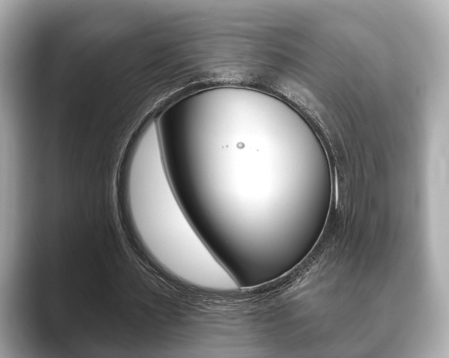 X0000089680483200706210817