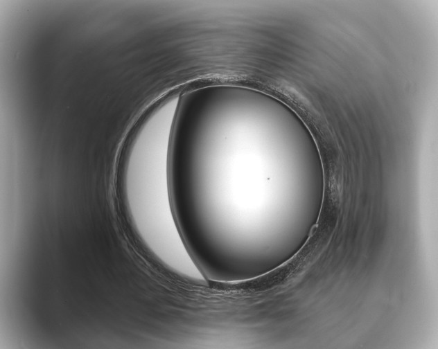 X0000089680484200706210817