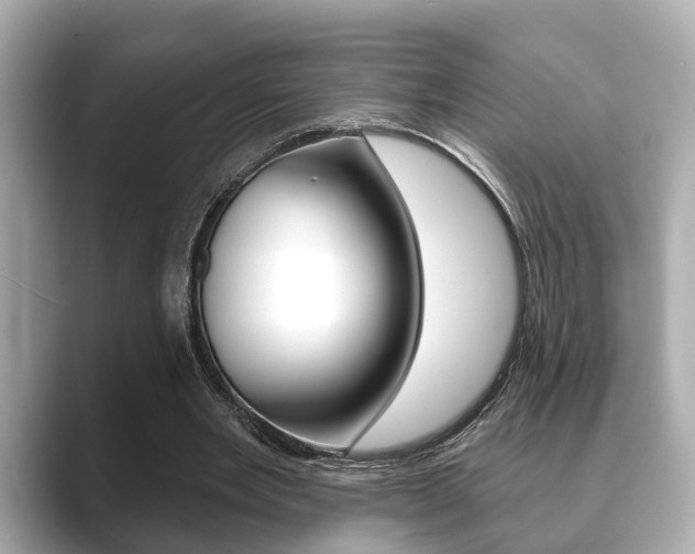 X0000089680485200706210817