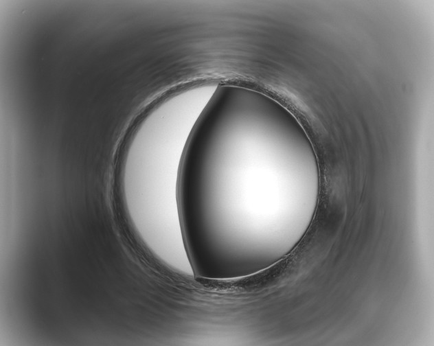 X0000089680488200706210817