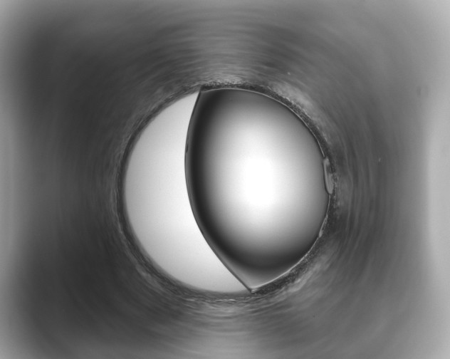 X0000089680489200706210817