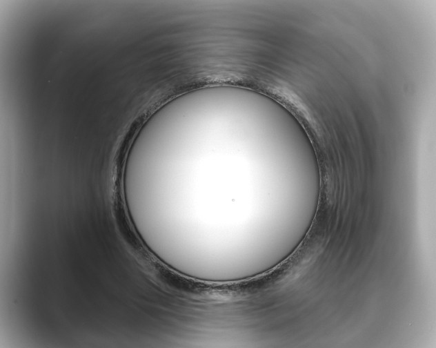 X0000089680490200706210817
