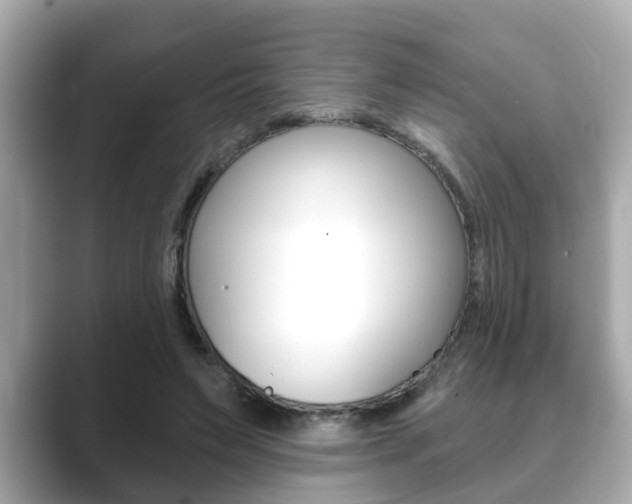 X0000089680495200706210817