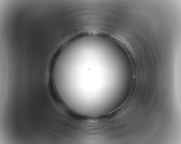 X0000089680496200706210817