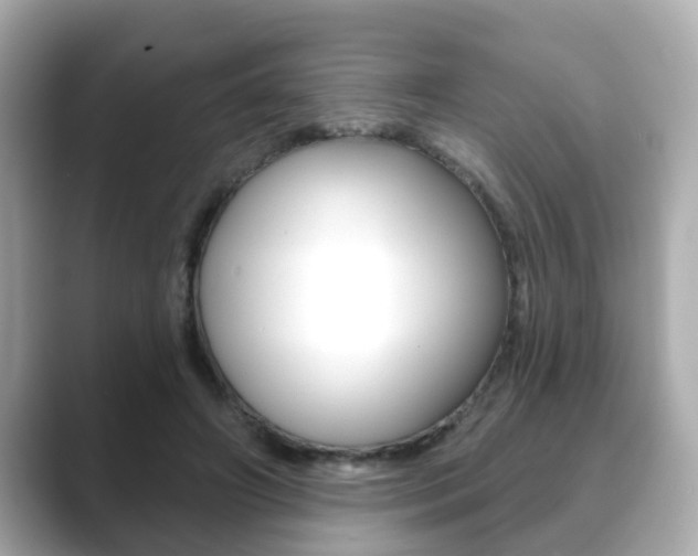 X0000089680498200706210817
