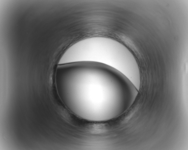 X0000089680501200706210817