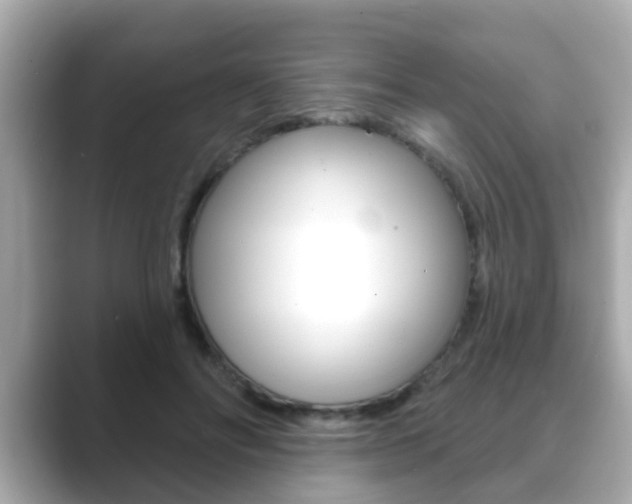 X0000089680502200706210817