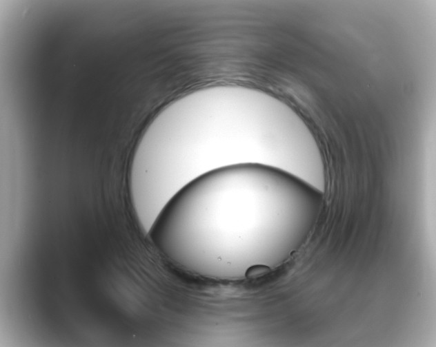 X0000089680503200706210817