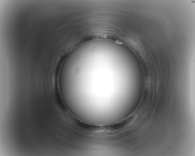 X0000089680504200706210817