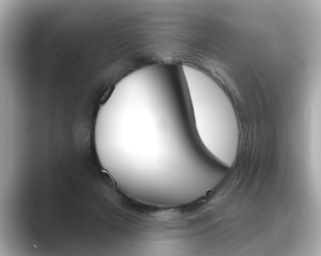 X0000089680505200706210817