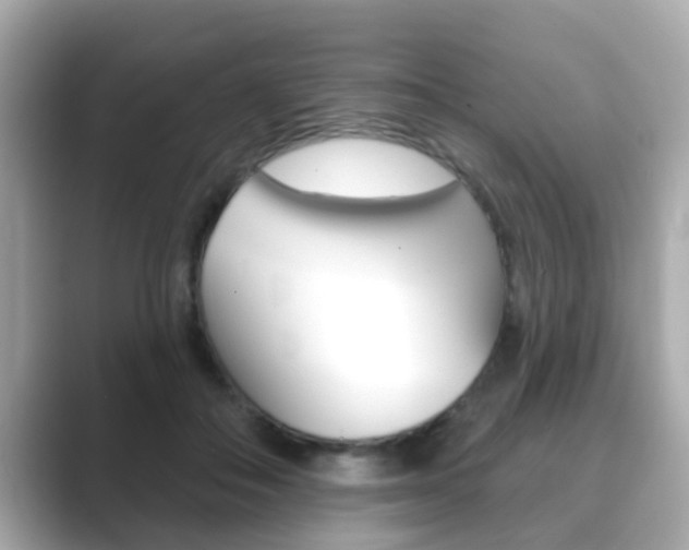 X0000089680506200706210817