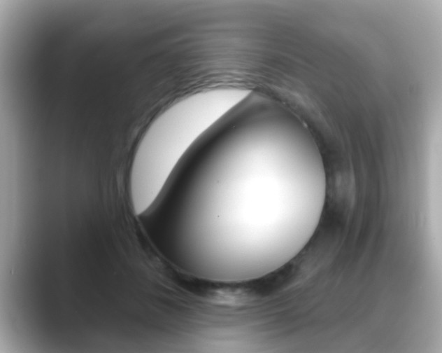 X0000089680508200706210817