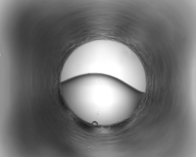 X0000089680511200706210817