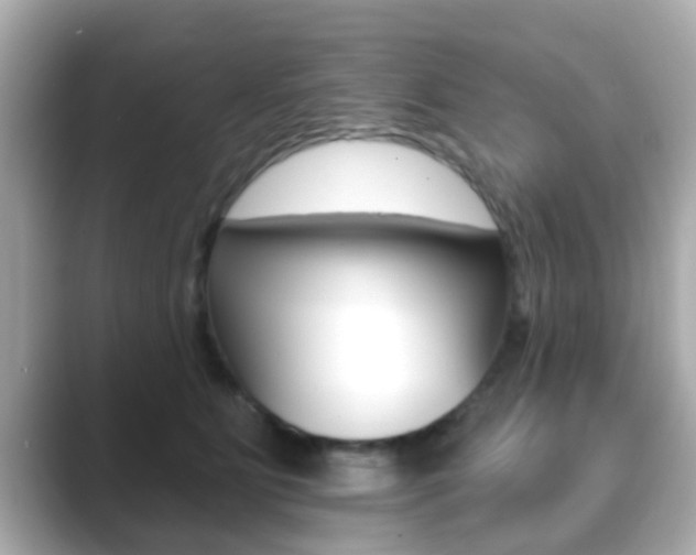 X0000089680515200706210817