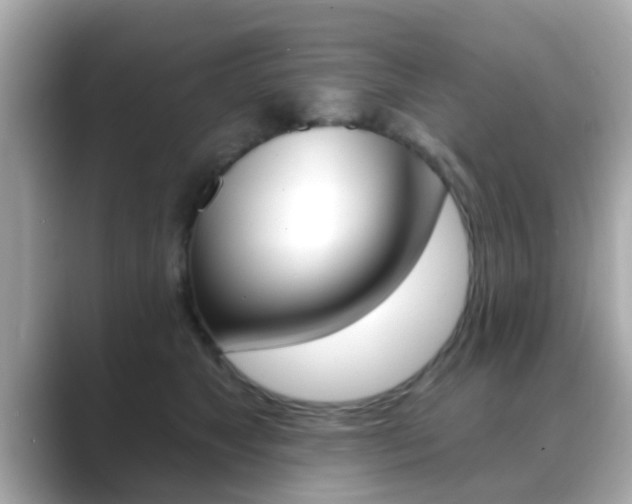 X0000089680517200706210816