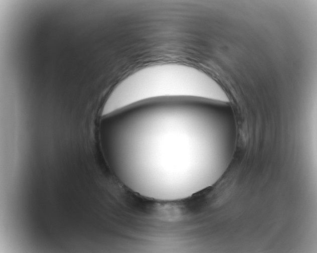 X0000089680520200706210816